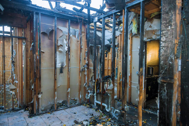 Professional Smoke Damage Restoration technician working in Plato, MN