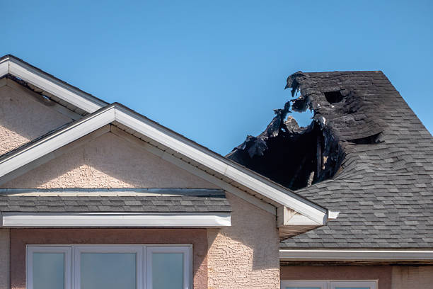 Top rated local Smoke Damage Restoration specialists in Plato, MN